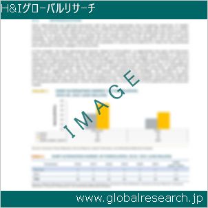グローバルリサーチ調査レポートのイメージ